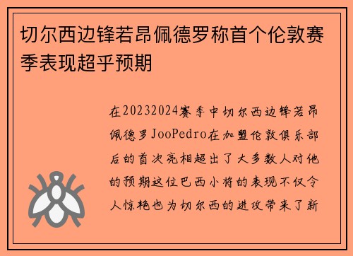切尔西边锋若昂佩德罗称首个伦敦赛季表现超乎预期